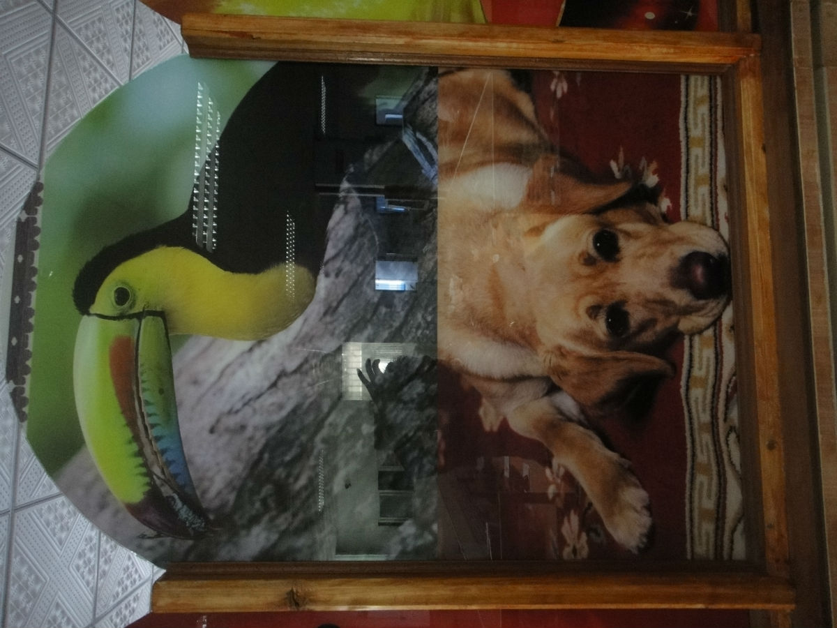 新款瓷磚玻璃背景墻打印機(jī)圖片/新款瓷磚玻璃背景墻打印機(jī)樣板圖 (4)