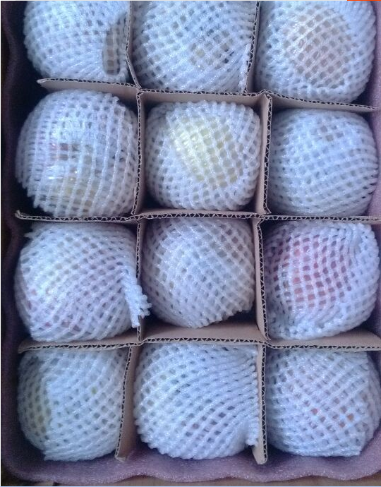 紅富士蘋(píng)果圖片/紅富士蘋(píng)果樣板圖 (3)