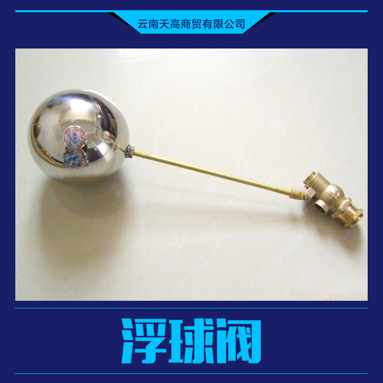 供應(yīng)浮球閥 適用性好 占地面積小  廠家批發(fā)