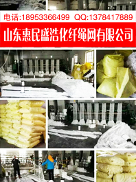 工地安全網(wǎng)圖片/工地安全網(wǎng)樣板圖 (2)