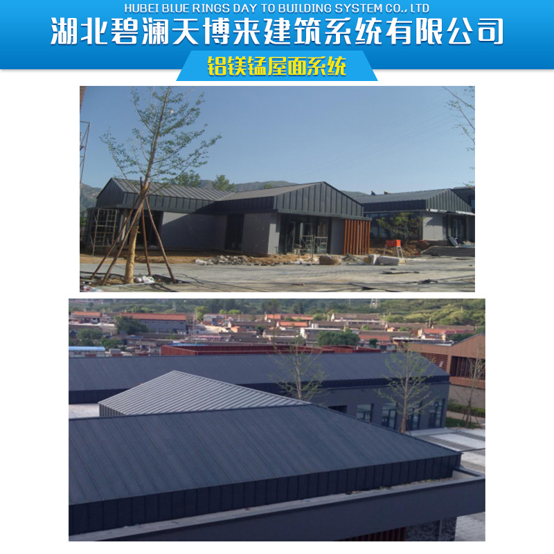 鋁鎂錳屋面系統(tǒng)圖片/鋁鎂錳屋面系統(tǒng)樣板圖 (3)