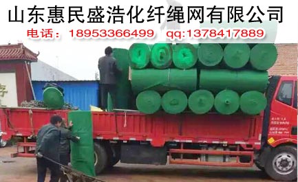 工地安全網(wǎng)圖片/工地安全網(wǎng)樣板圖 (2)