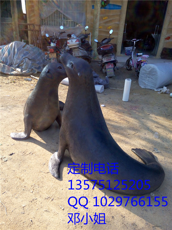海獅圖片/海獅樣板圖 (3)