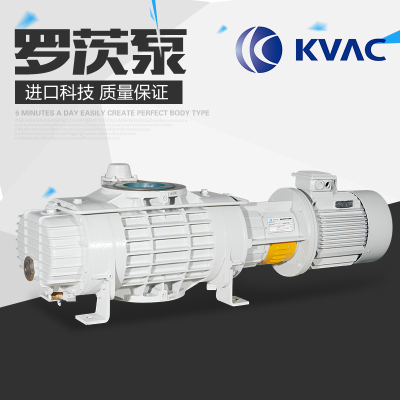 羅茨泵圖片/羅茨泵樣板圖 (3)