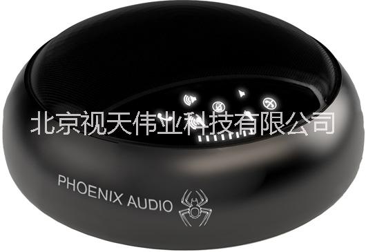 供應(yīng)Spider MT503全向麥