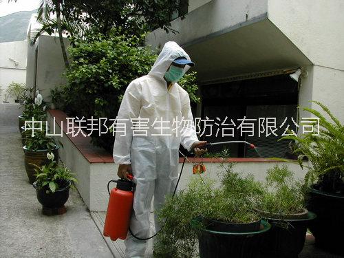中山治白蟻，中山白蟻站，圖片
