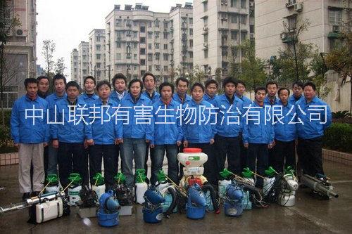 滅鼠滅蟑螂圖片/滅鼠滅蟑螂樣板圖 (4)