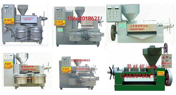 临沂市黑龙江梨树区新一代大豆花生榨油机厂家供应黑龙江梨树区新一代大豆花生榨油机多钱一台，三相电榨油机哪有卖
