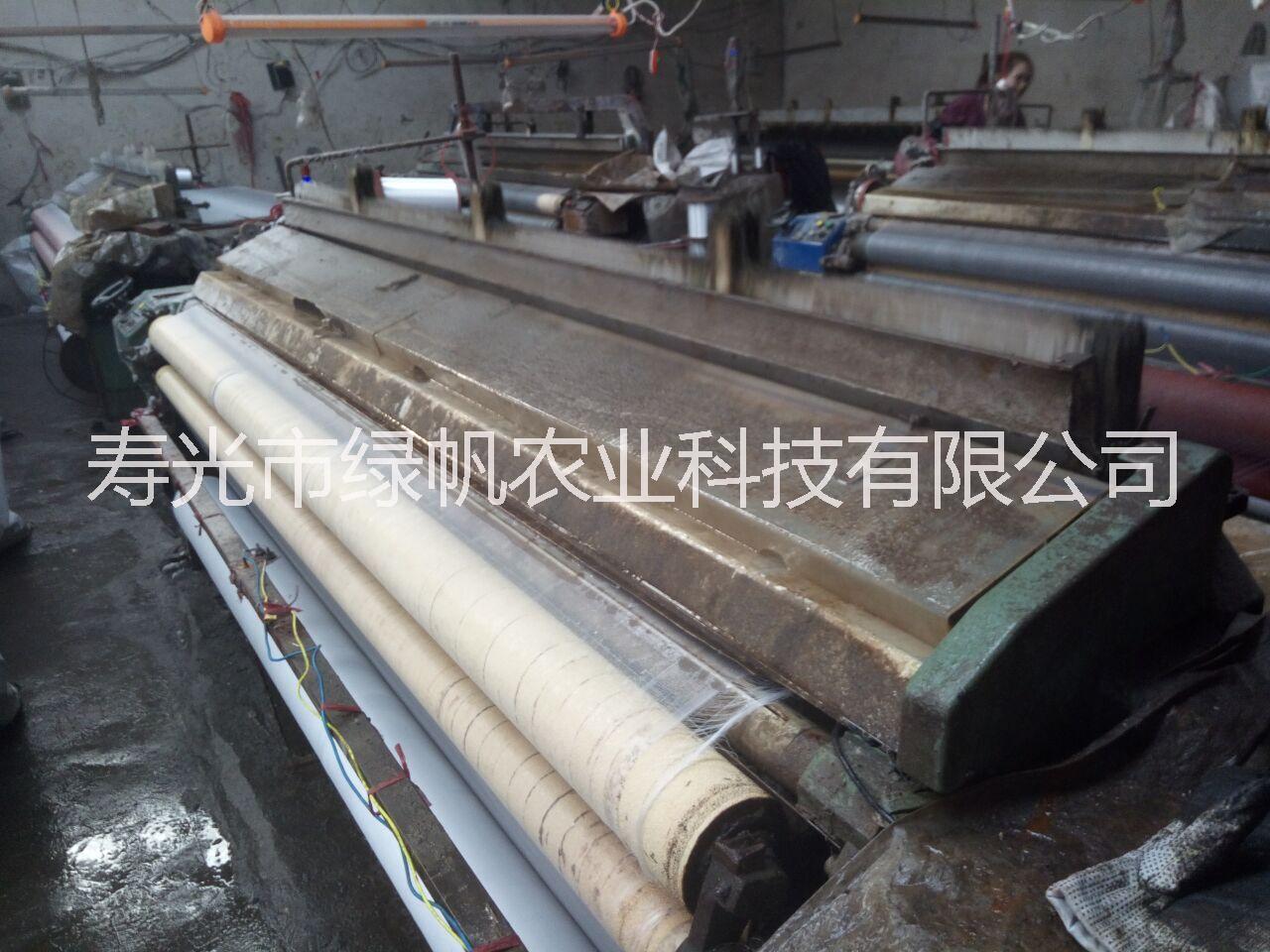 供應(yīng)大棚防蟲(chóng)網(wǎng) 60目防蟲(chóng)網(wǎng) 養(yǎng)殖網(wǎng) 防鳥(niǎo)網(wǎng)