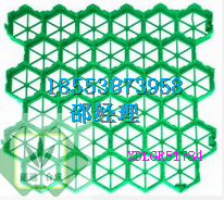 承德塑料植草格应用图片