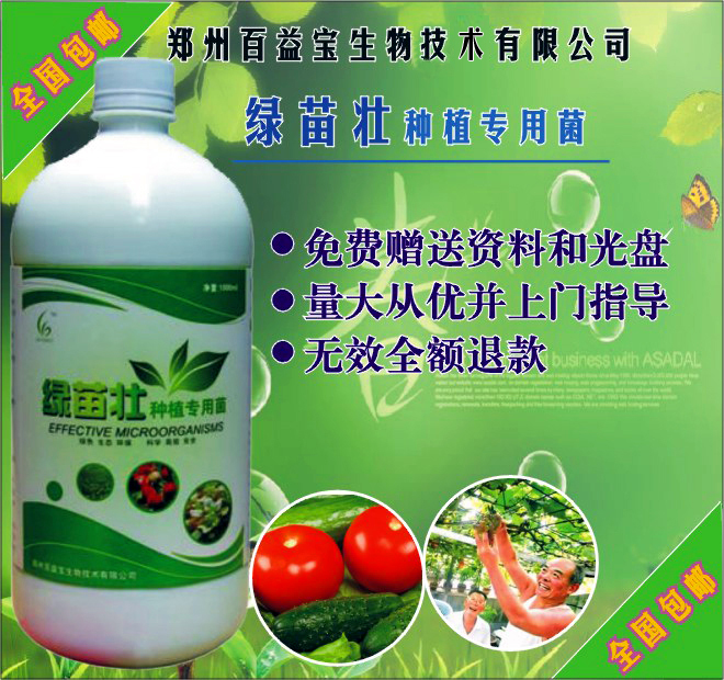 巧培土姜穩(wěn)獲高產(chǎn)/綠苗壯肥料種植*菌
