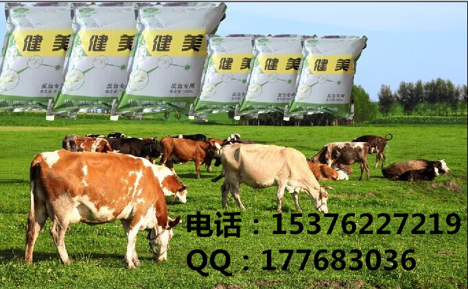 供應(yīng)用于降低體細(xì)胞|，降低料肉比的牛羊?qū)Ｓ蔑暳咸砑觿?  src=