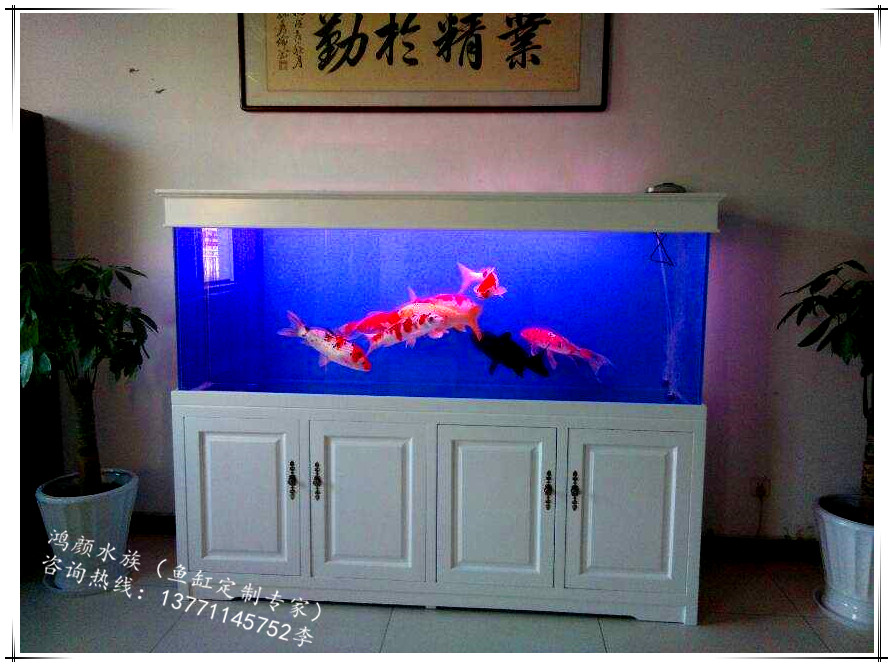 大型魚缸定做圖片/大型魚缸定做樣板圖 (4)