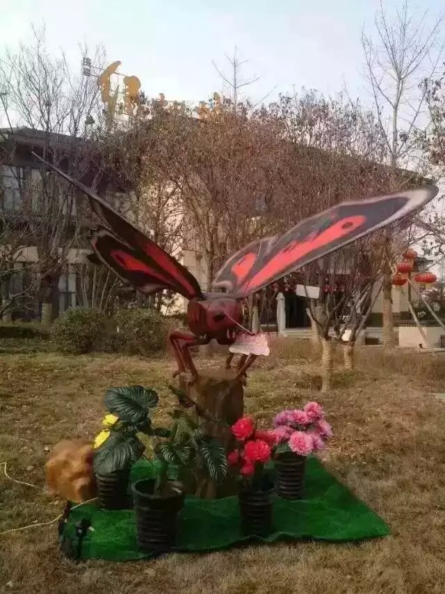多種昆蟲系列模型出租動態(tài)仿真昆蟲圖片