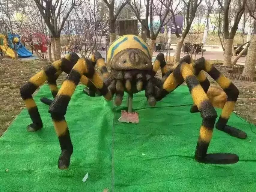 昆蟲圖片/昆蟲樣板圖 (2)