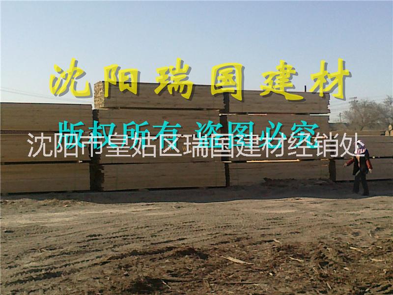 沈陽木圖片/沈陽木樣板圖 (3)