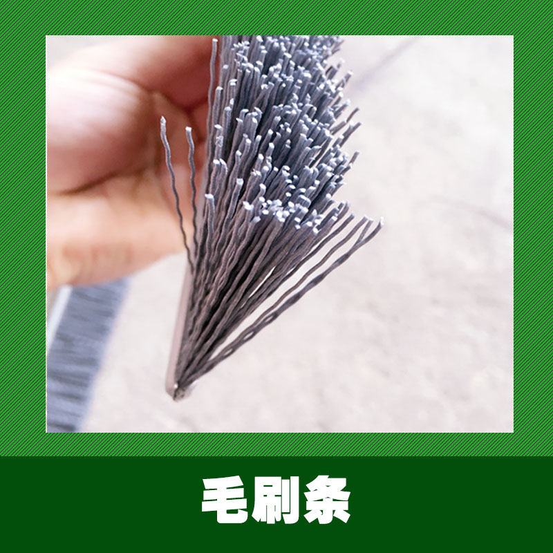 毛刷條圖片/毛刷條樣板圖 (1)