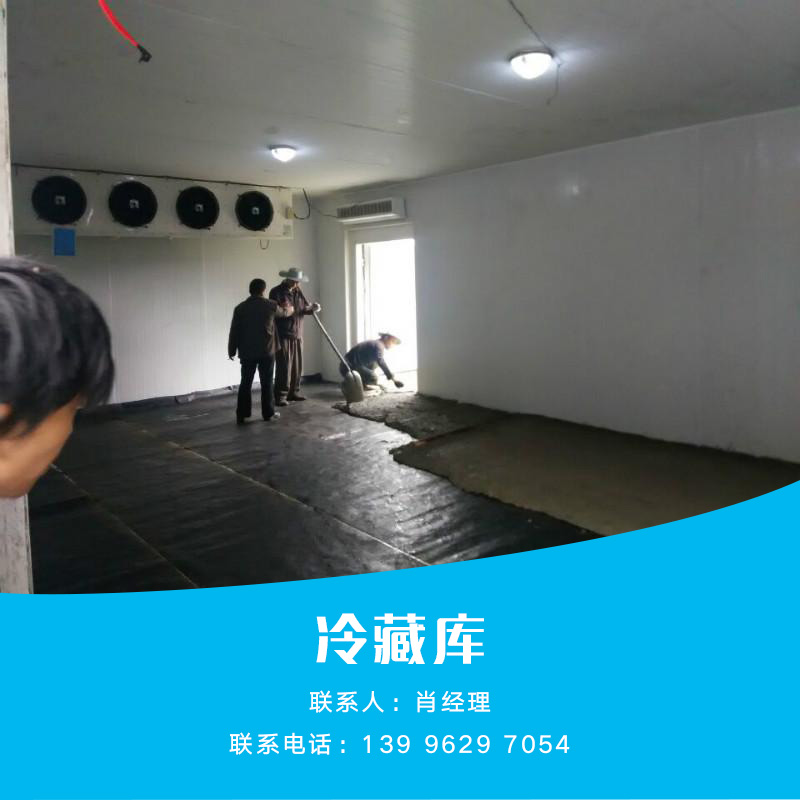 供應冷藏庫設備 保鮮冷庫 速凍冷庫 低溫冷庫 各種冷藏設備
