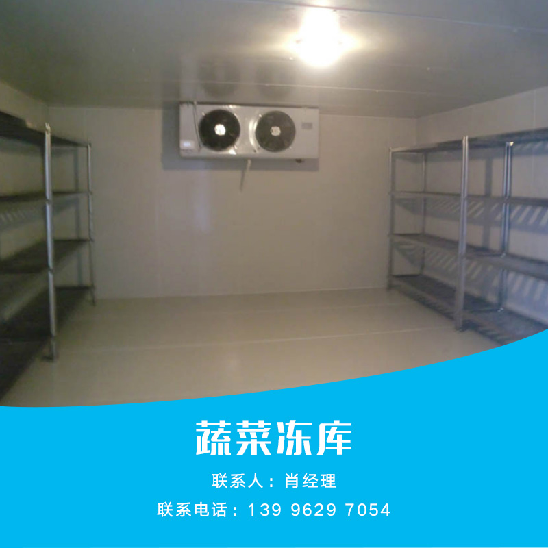 蔬菜凍庫圖片/蔬菜凍庫樣板圖 (2)