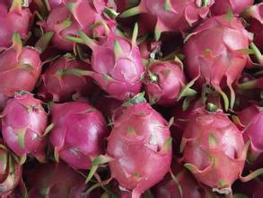 廣西玉林圖片/廣西玉林樣板圖 (4)