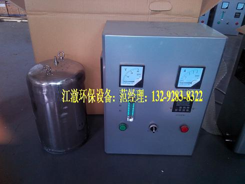 供應(yīng)上海市wts-2a水箱自潔消毒器|臭氧