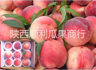 供應(yīng)用于食用品的620毛桃脆密王毛桃70以上價(jià)格-*大荔縣順利果品商行