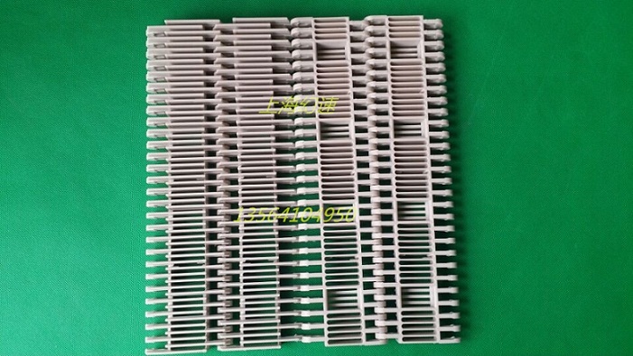 塑料網帶鏈圖片/塑料網帶鏈樣板圖 (4)