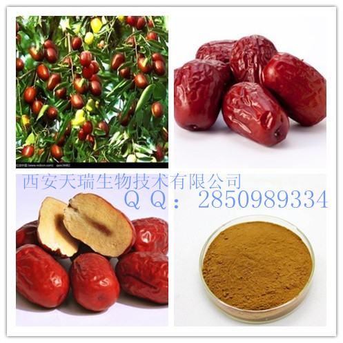 紅棗粉廠家　天瑞紅棗粉紅棗速溶粉　陜西西安紅棗粉廠家