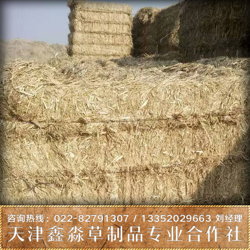 草簾圖片/草簾樣板圖 (3)