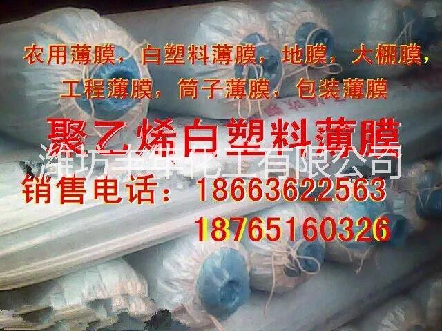 塑料薄膜圖片/塑料薄膜樣板圖 (1)