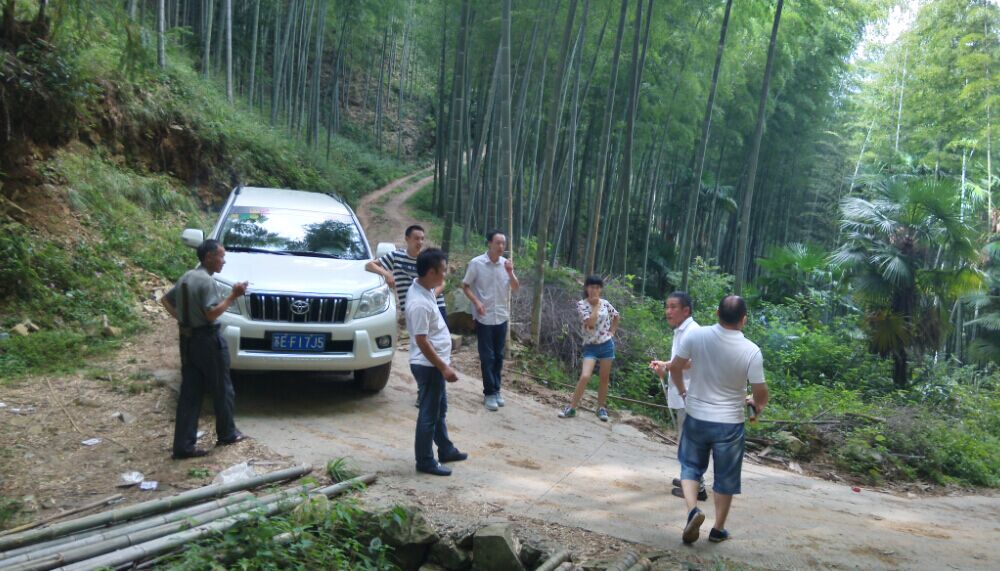 52度竹筒酒正宗客家原生態(tài)活竹酒圖片/52度竹筒酒正宗客家原生態(tài)活竹酒樣板圖 (4)