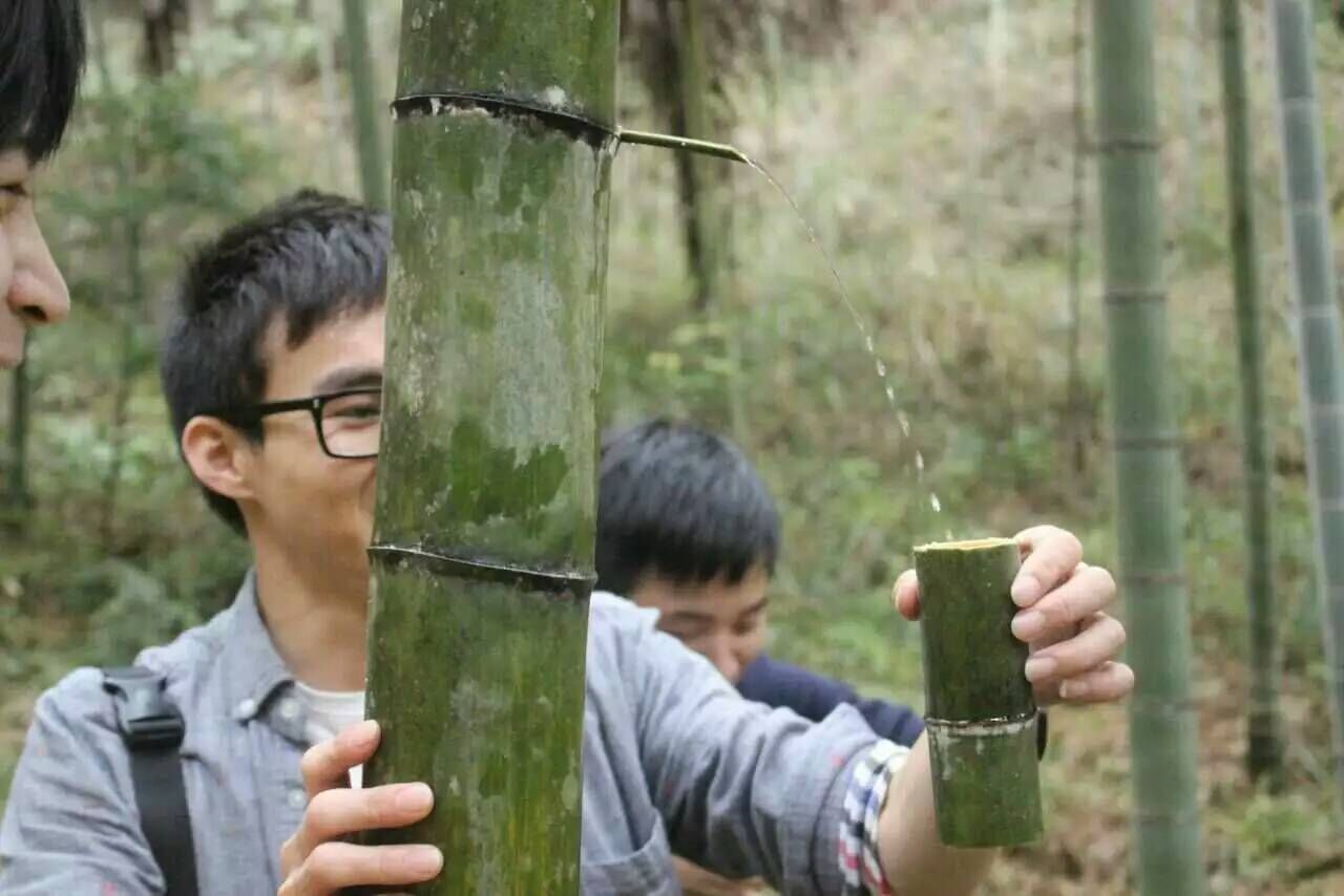 供應(yīng)福建竹筒酒?綠色原生態(tài)竹子酒廠家生產(chǎn)供應(yīng) 福建熹鄉(xiāng)鮮竹酒?竹筒酒?招商 代理 批發(fā) 分銷