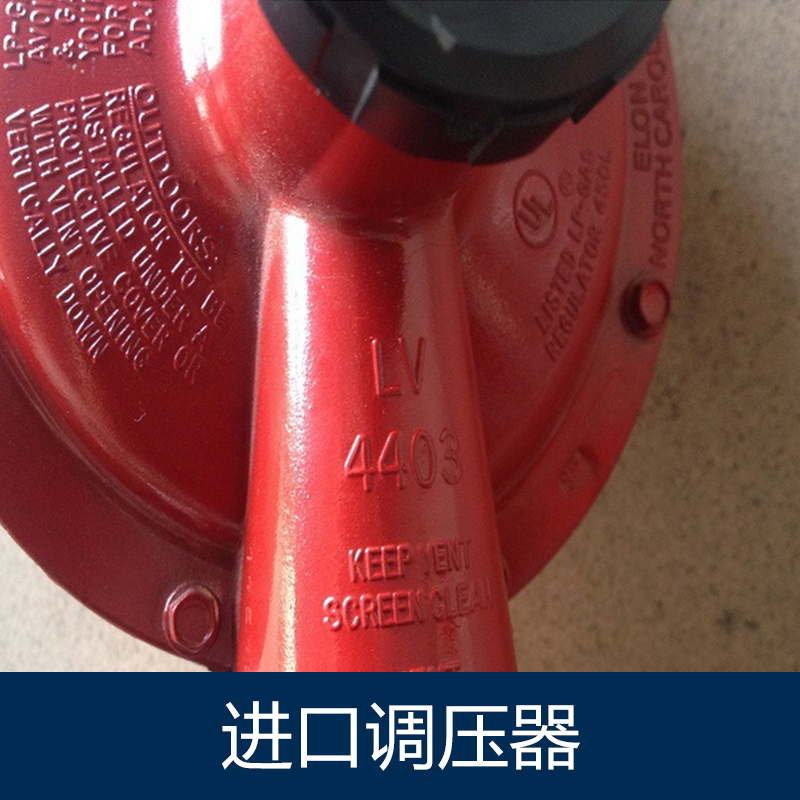 進(jìn)口調(diào)壓器圖片/進(jìn)口調(diào)壓器樣板圖 (3)