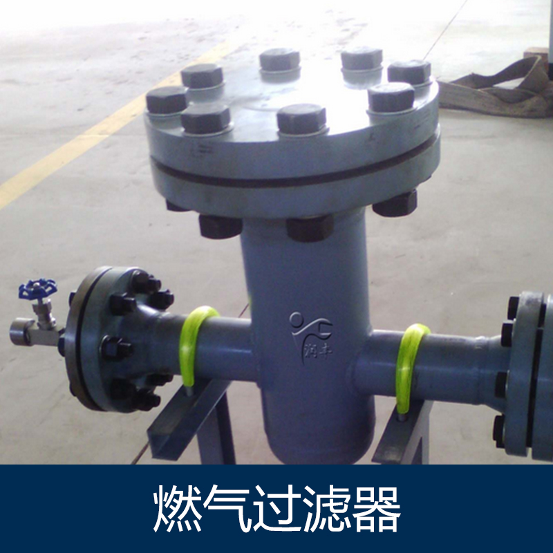 燃?xì)膺^濾器圖片/燃?xì)膺^濾器樣板圖 (2)