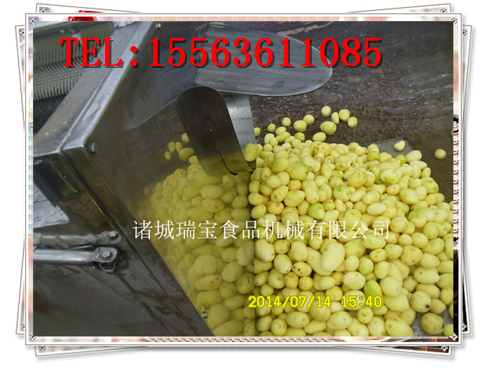 毛刷清洗機(jī)圖片/毛刷清洗機(jī)樣板圖 (3)