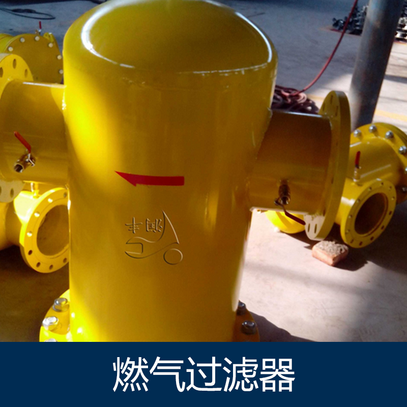 燃?xì)膺^濾器圖片/燃?xì)膺^濾器樣板圖 (1)