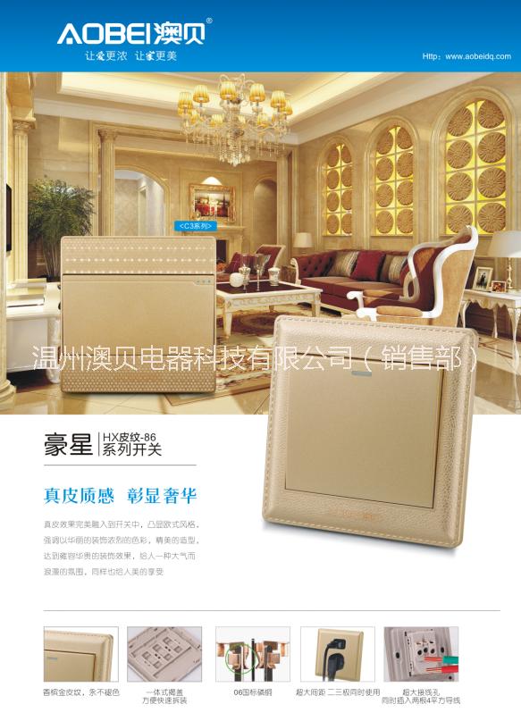 墻壁開關(guān)廠家圖片/墻壁開關(guān)廠家樣板圖 (3)