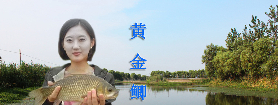 鯽魚苗圖片/鯽魚苗樣板圖 (4)