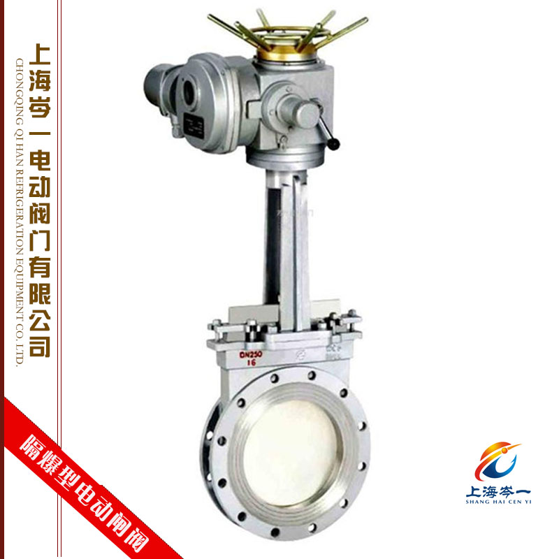隔爆型電動(dòng)閘閥銷售
