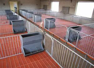 熱鍍鋅圖片/熱鍍鋅樣板圖 (3)