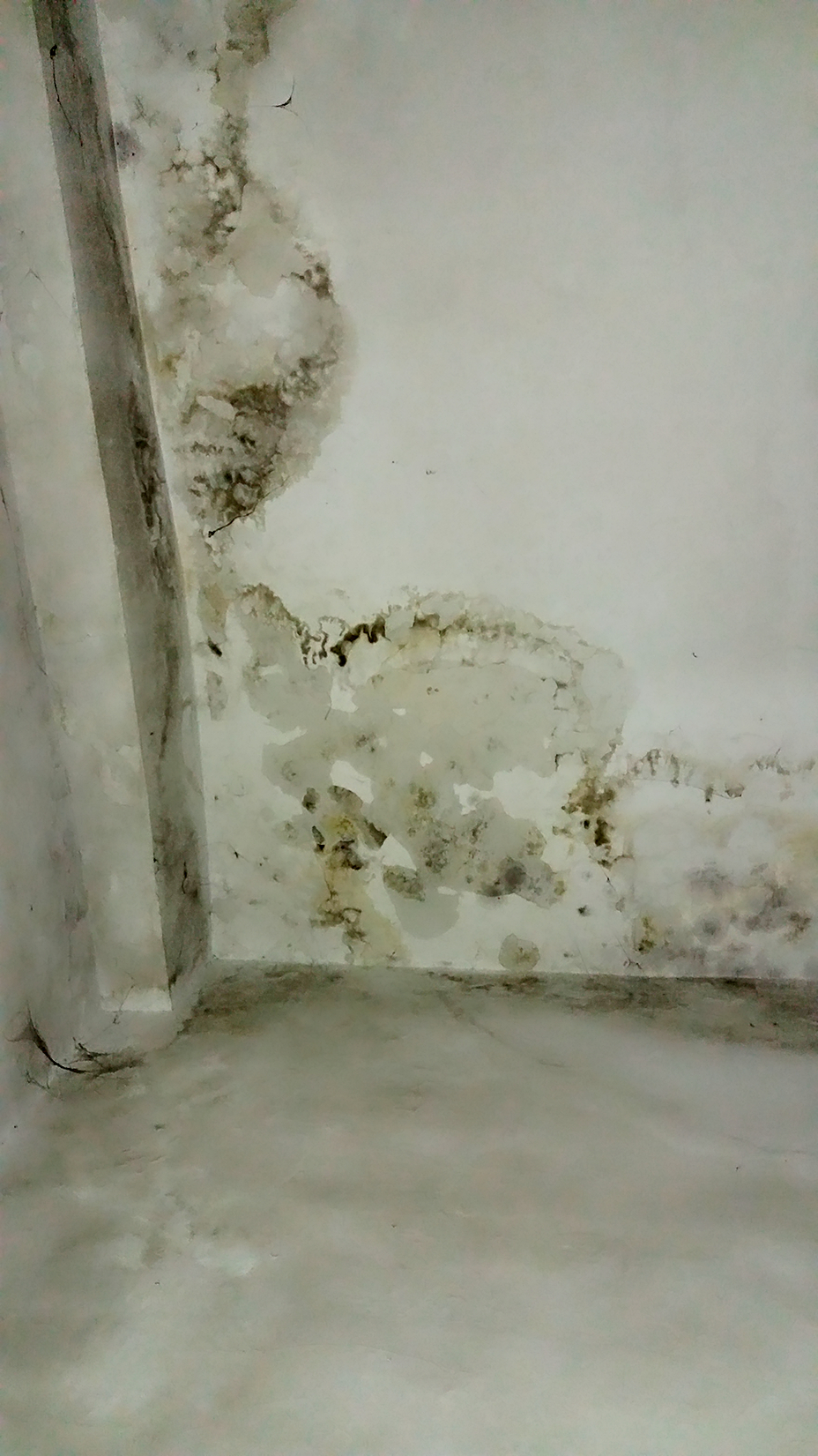 深圳龍崗?fù)鈮Υ芭_(tái)補(bǔ)漏圖片