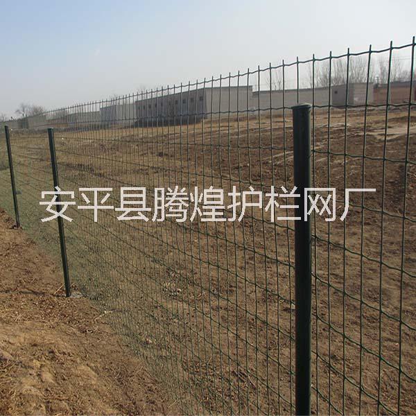 養(yǎng)殖網(wǎng)圖片/養(yǎng)殖網(wǎng)樣板圖 (4)