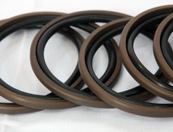 NOK品牌SPG和SPGW密封件圖片/NOK品牌SPG和SPGW密封件樣板圖 (4)