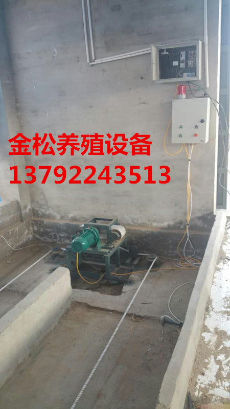 羊場自動刮糞機圖片