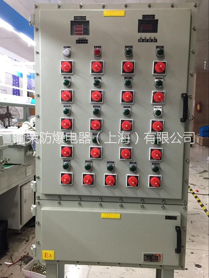 煤化工專用IIC級粉塵防爆配電箱圖片/煤化工專用IIC級粉塵防爆配電箱樣板圖 (2)