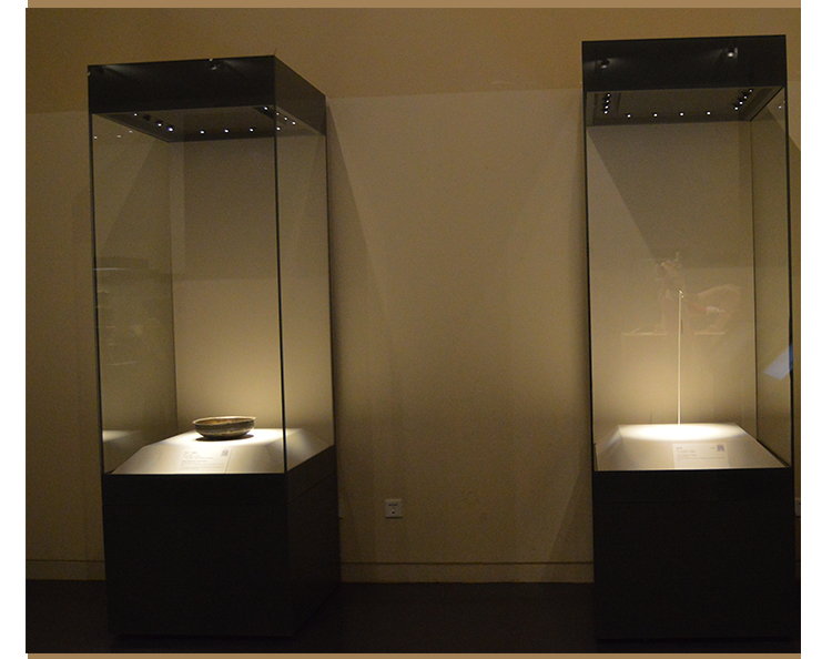 博物館展柜圖片/博物館展柜樣板圖 (4)