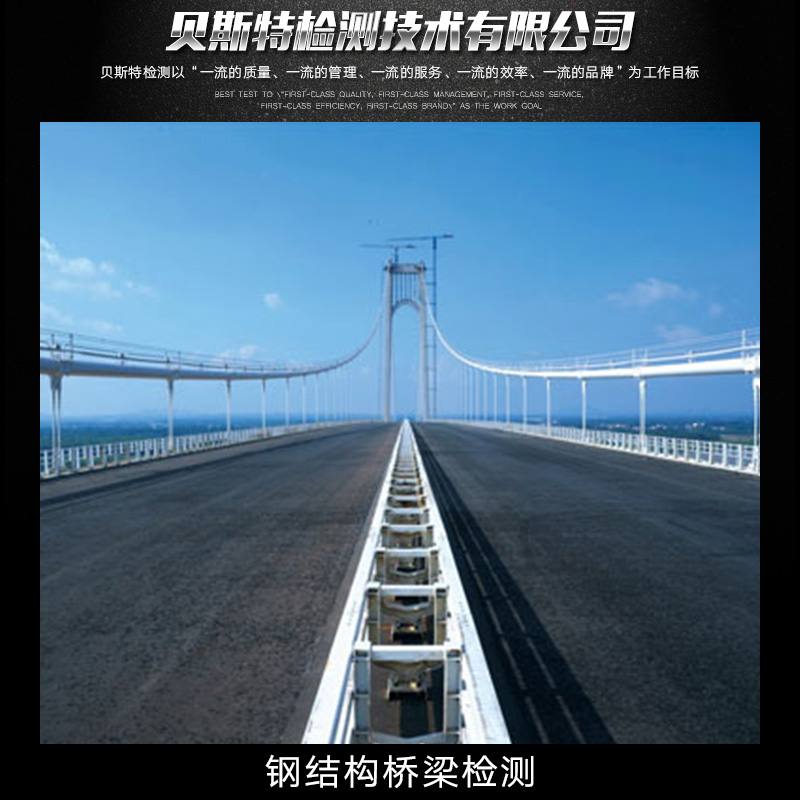 供應(yīng)鋼結(jié)構(gòu)橋梁檢測 鋼結(jié)構(gòu)橋梁檢測中心 專業(yè)鋼結(jié)構(gòu)橋梁檢測 鋼結(jié)構(gòu)橋梁檢測服務(wù)圖片