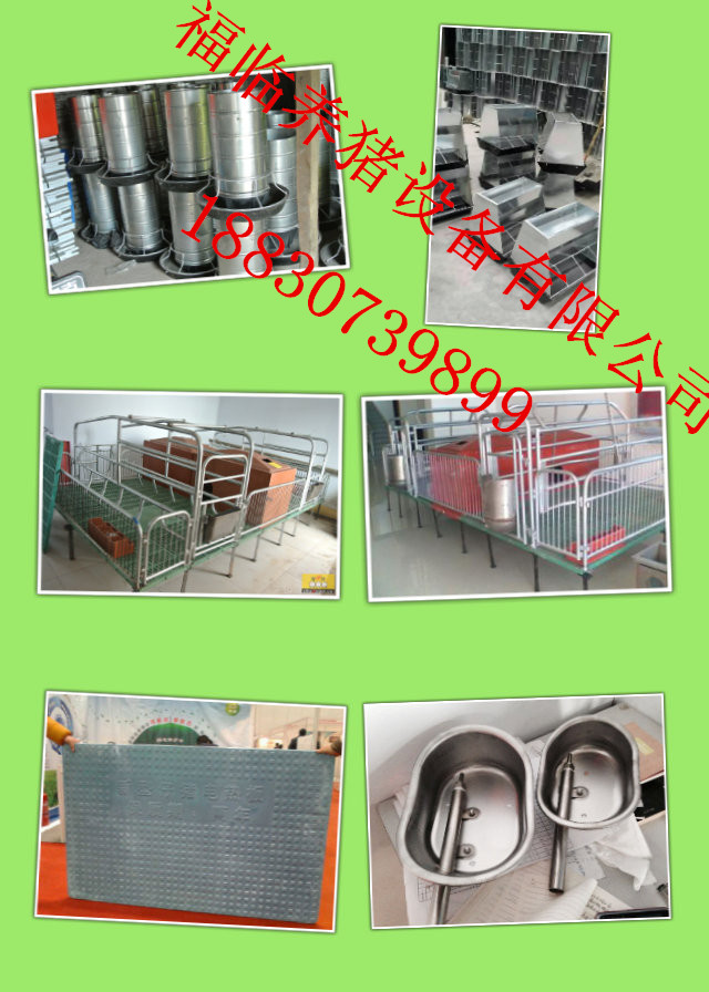 母豬產(chǎn)床圖片/母豬產(chǎn)床樣板圖 (3)