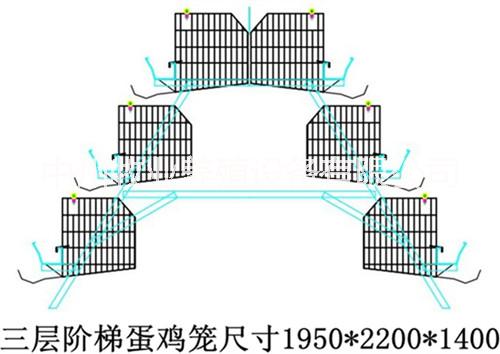 蛋雞籠圖片/蛋雞籠樣板圖 (3)