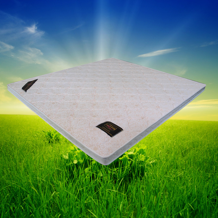 供應兒童棕墊，*棕墊哪里有賣，棕墊批發(fā)價格，棕墊廠家